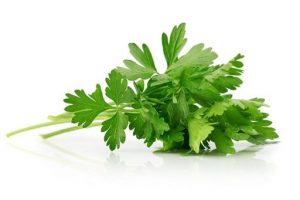 Salsa Italiana -Midori box