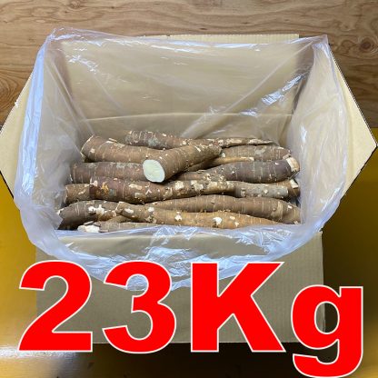 A GRANEL - MANDIOCA AMARELA (PROMO = ￥465/kg)