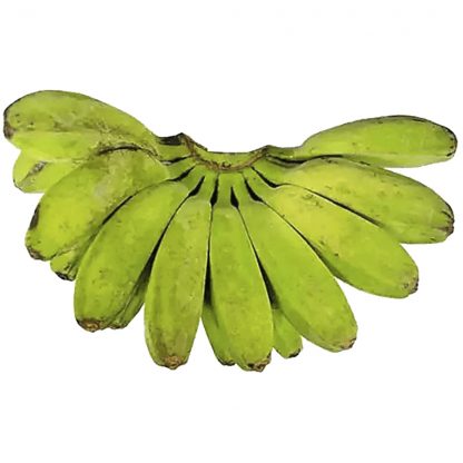 CARDAVA/ SABA BANANA, 1 unidade (F)